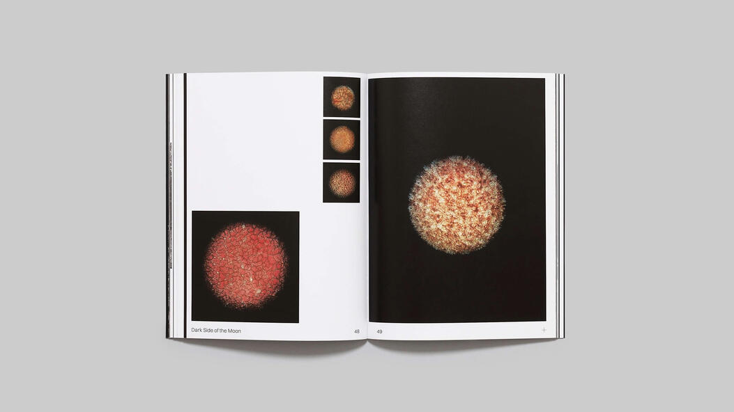 Dark Side of the Moon by Marianne Bernstein
