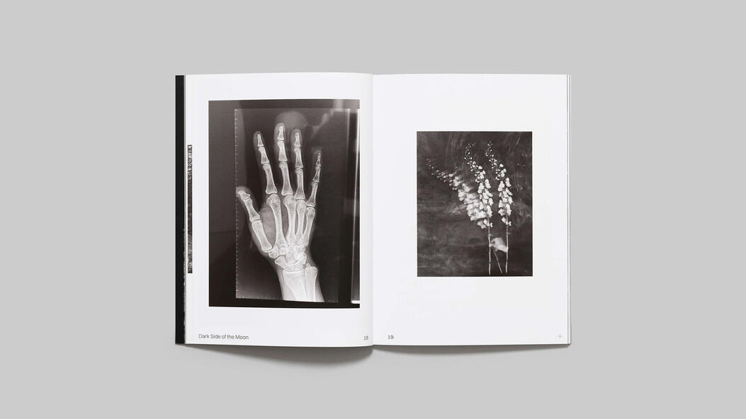 Dark Side of the Moon by Marianne Bernstein