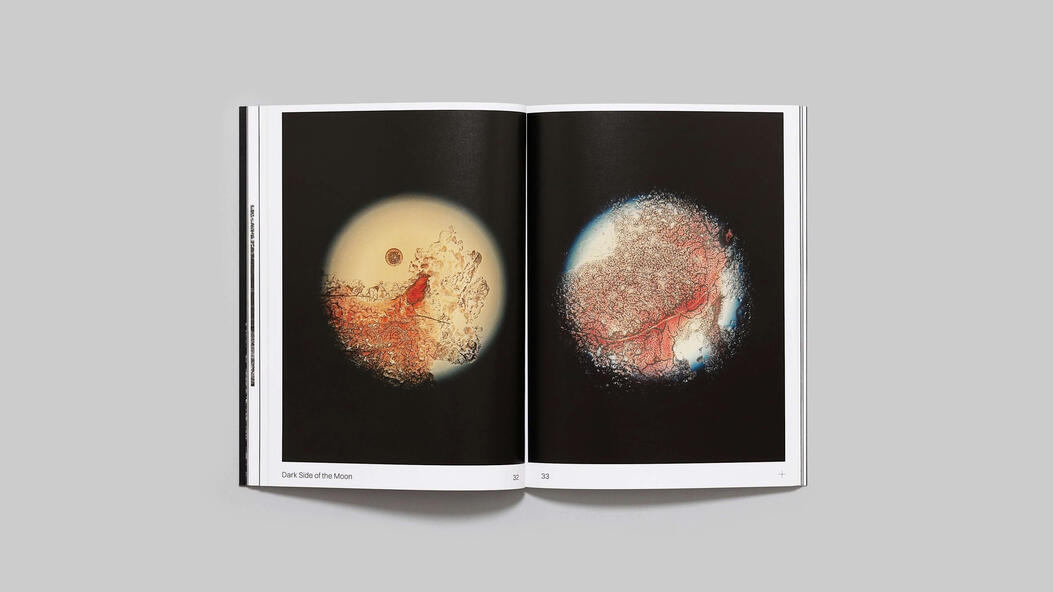 Dark Side of the Moon by Marianne Bernstein